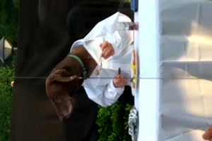 Biergarten�ffnung, auch Hunde freuen sich