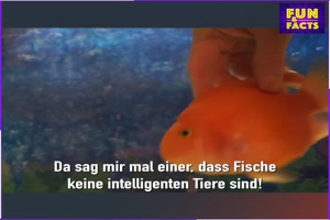 Du willst dich ausruhen