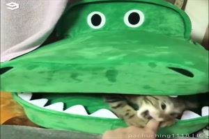 Wer ist denn da drin?