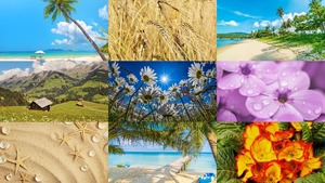 Sommer 20 - Zomer 20