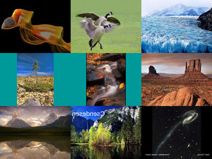 klicke hier, um die Datei herunterzuladen Tolle Naturbilder