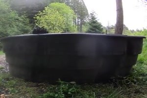 das macht dem Bren eine Freude