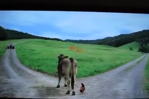 Das MIGNON-HUHN bringt noch gleich die Kuh mit