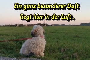 Ein ganz besonderer Duft liegt in der Luft