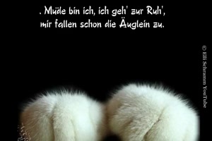 Mde bin ich, geh zur Ruh