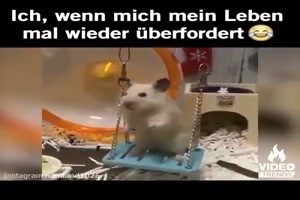 weiter