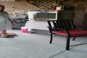 Hund in der Gefriere
