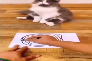 Puh ist das langweilig