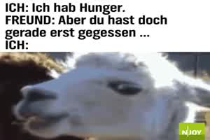 Ich hab Hunger