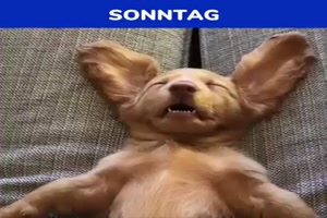 weiter