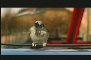 schwarz fahren lohnt sich nicht 