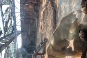Zoobesuch - Zeit zu gehen Kinder