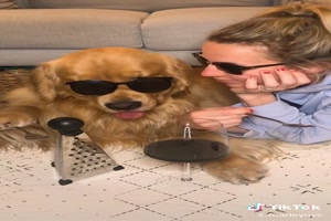 tolles Duo