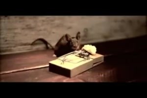Lustige Maus