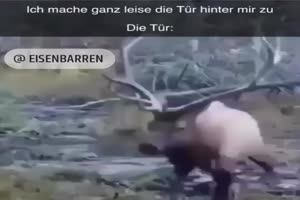 weiter