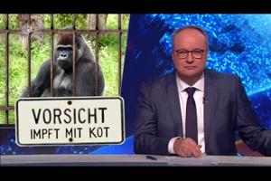 Gorillakacke