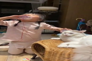 Diese Katze ist vllig unbeeindruckt