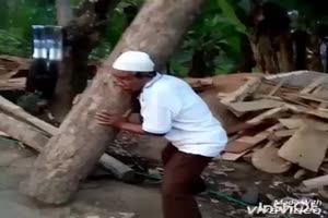 Was dachtest du denn?