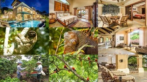 Ferien in Costa Rica