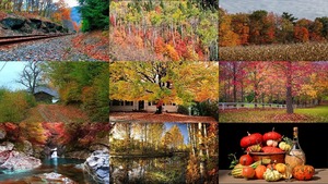 Beautiful Autumn 9