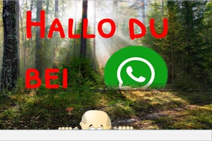 Ich wollte mal sehen wie es dir geht
