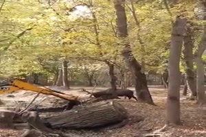 Hirsch sieht Bagger als Rivalen