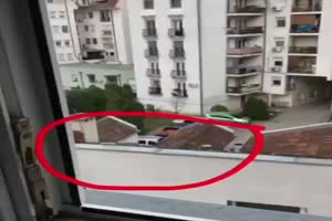 Das andere Gassi gehen