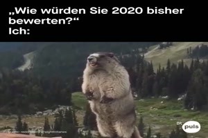 So wrde ich 2020 auch bewerten