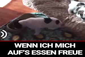 weiter