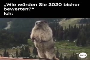 Bewertung 2020