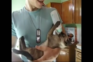 wenn das Ktzchen die Flasche will
