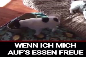 weiter