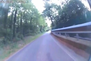 Schrecksekunde. Bulldog auf der Strasse