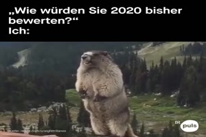 wie war 2020 bisher?