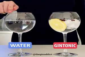 Gin Tonic wnsche dir frohe Weihnachten