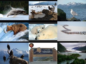 Alaska
