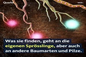 weiter