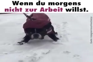 Wenn du morgens nicht zur Arbeit willst