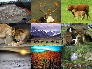klicke hier, um die Datei herunterzuladen Ode an die Natur