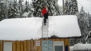 weiter