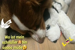 weiter