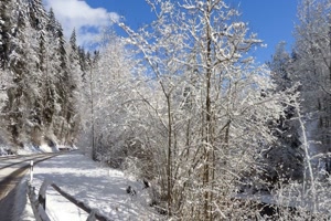 Winter