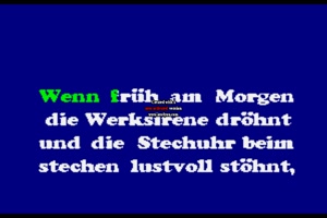 Geier Sturzflug - Bruttosozialprodukt