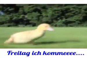Freitag ich komme
