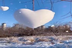 Schne Herzschneeblle