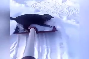 Viebeiner au�er Rand und Band