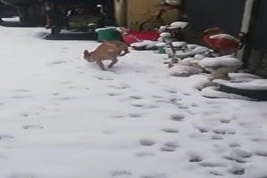 So wenig Berhrung mit dem Schnee wie mglich