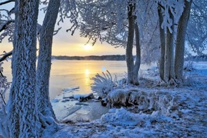 Hiver 59 - Winter 59