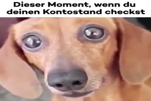 Dieser Moment, wenn du deinen Kontostand checkst