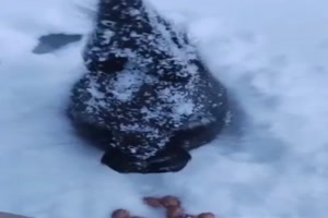 Mal kurz unter dem Schnee durch